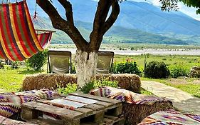 Vjosa Guest House